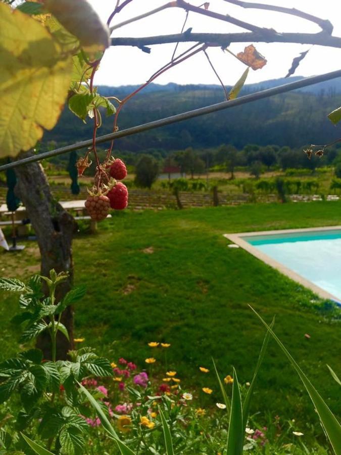 Quinta Da Aranha Villa อาร์กอสเดวัลเดเวซ ภายนอก รูปภาพ